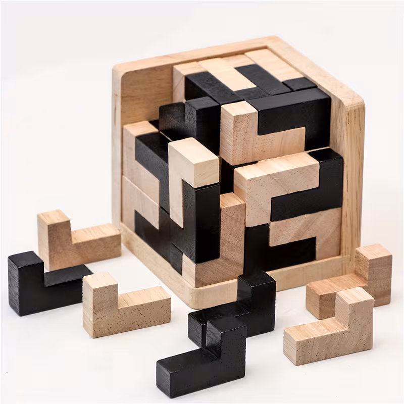  Wooden Brain Teaser Puzzle