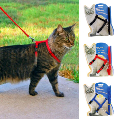 Cat Harness And Leash