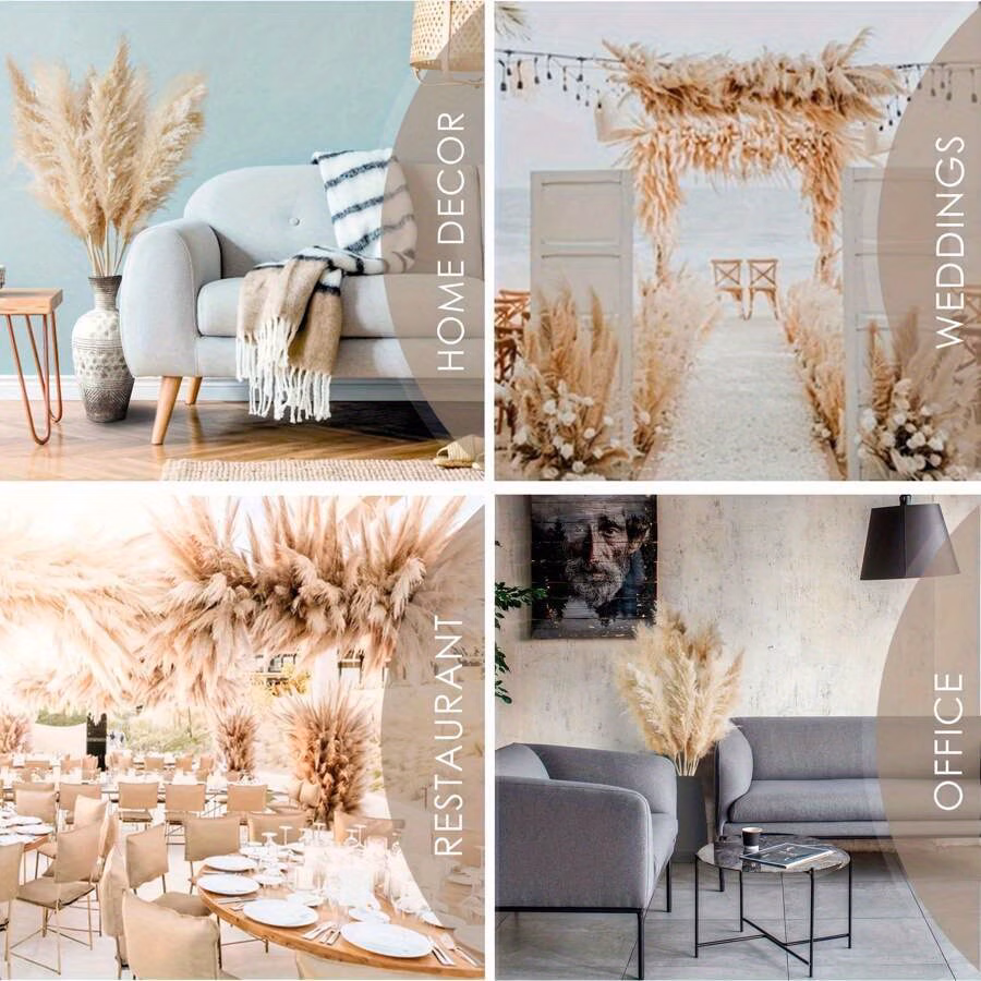  Fluffy Pampas Grass