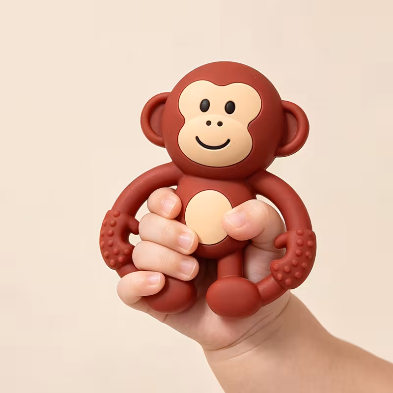 A Cute Little Monkey