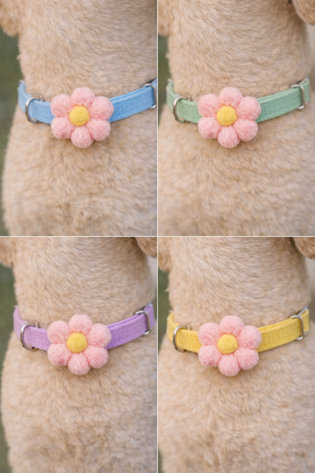 Collar