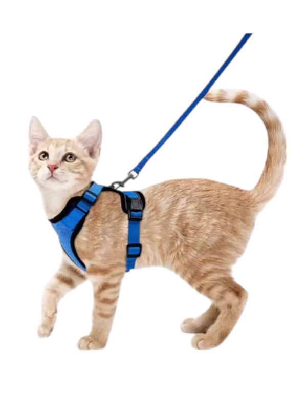 Cat Harness And Leash