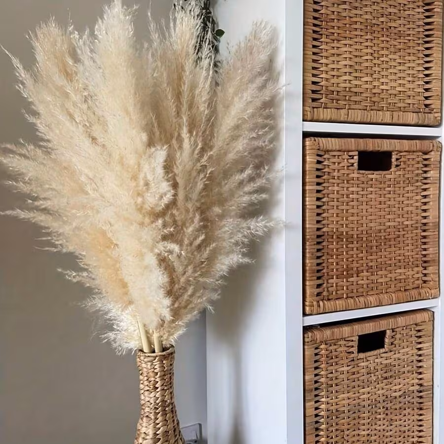  Fluffy Pampas Grass