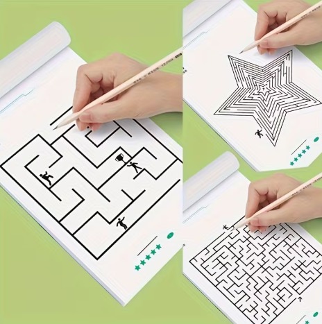 Focus Maze Training Book