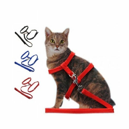 Cat Harness And Leash