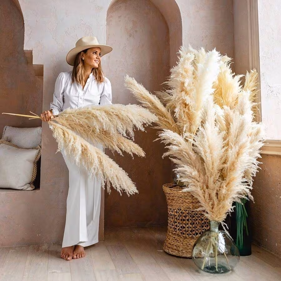  Fluffy Pampas Grass