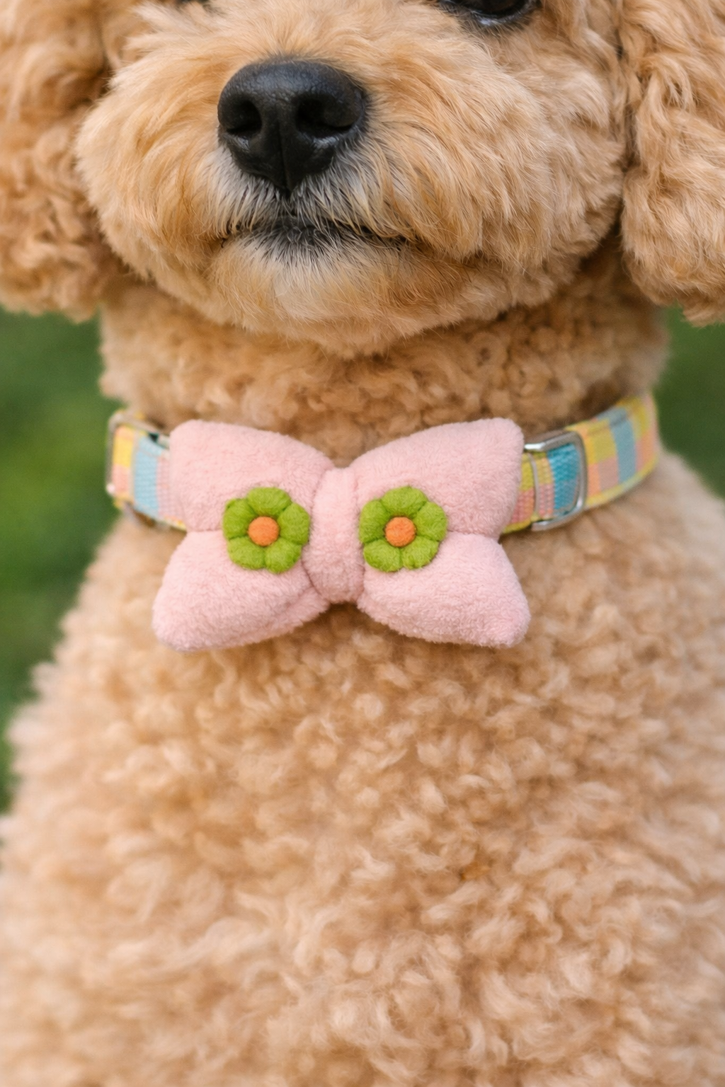 Pet Neck Ribbon