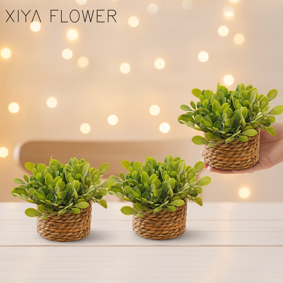  Mini Potted Plants