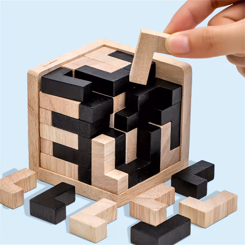 Wooden Brain Teaser Puzzle